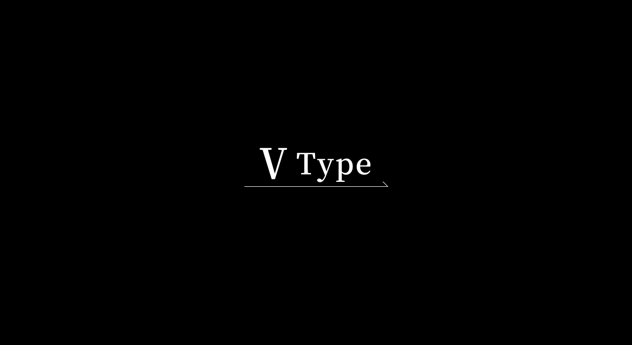 Ⅴ Type
